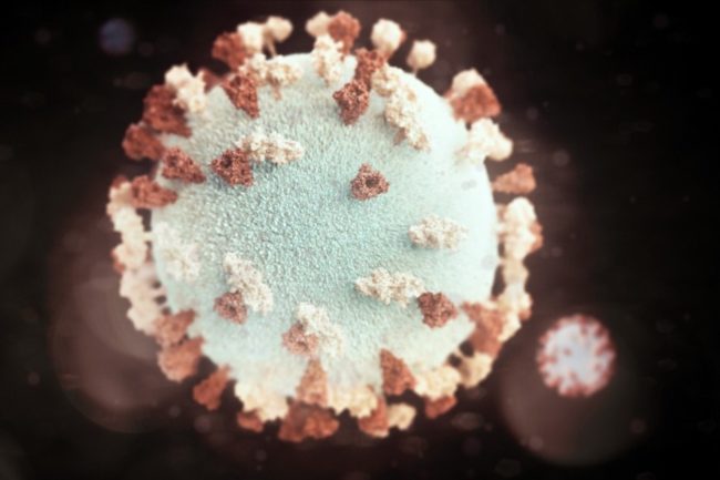 The Coronavirus: A Healthy Perspective thumbnail